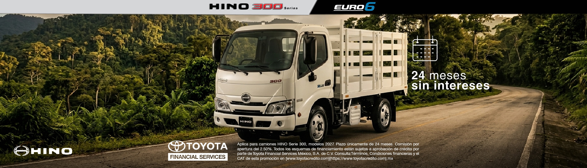 Hino Chiapas Banner 2